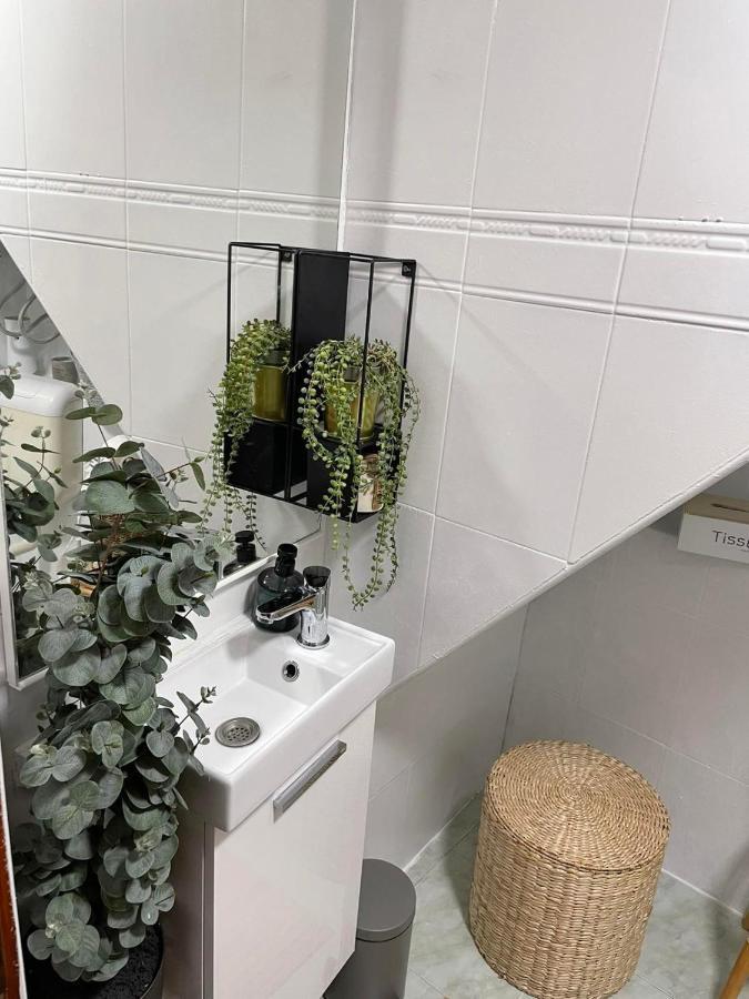 Studio Milena Rovinj Zewnętrze zdjęcie